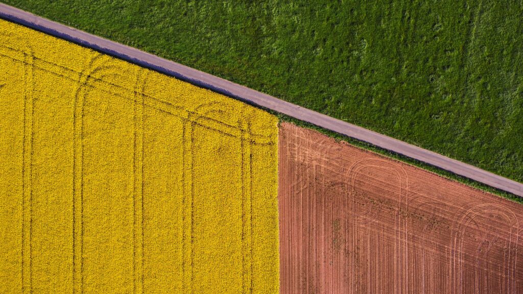 colourful paddocks showcase agriculture