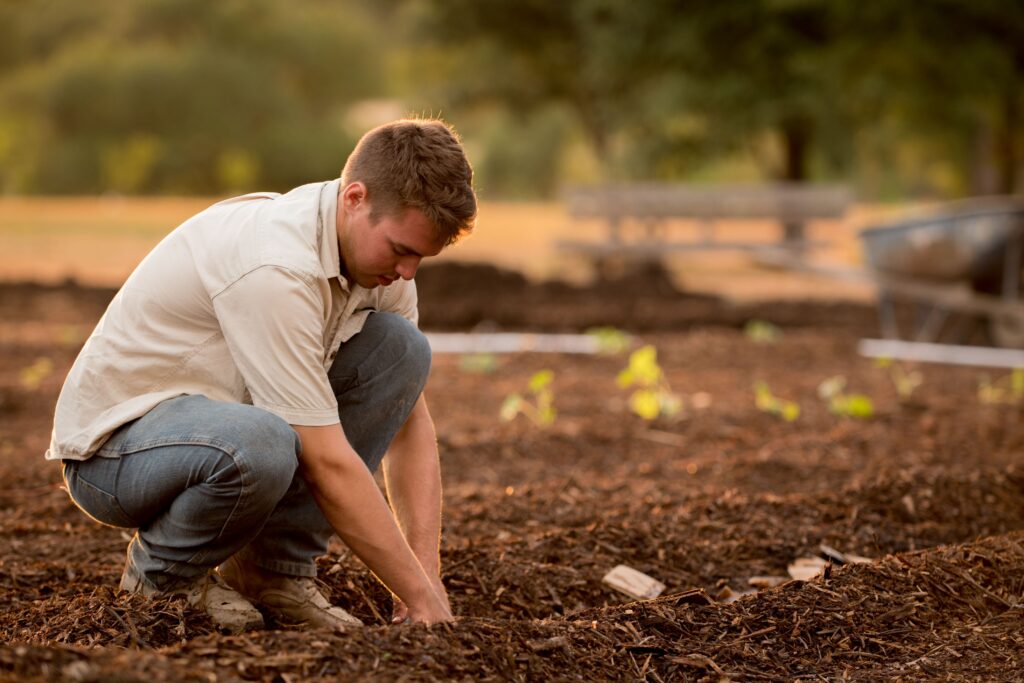 Agronomist or farmer with his hands in the soil demonstrating Novum Lifesciences agricultural services